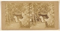 Men playing cards in a garden