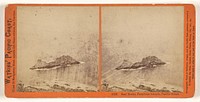 Seal Rocks, Farallone [sic] Islands, Pacific Ocean. by Carleton Watkins