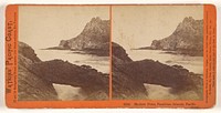 Shubric Point, Farallone [sic] Islands, Pacific Ocean. by Carleton Watkins