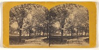 View in the Presidents Ground, Washington, D.C. by Hanson E Weaver