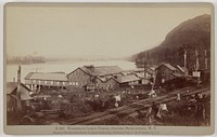 Warrendale Salmon Fishery, Columbia River Scenery, W.T. by Carleton Watkins