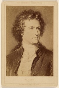 Goethe. [a painting] by Friedrich Bruckmann