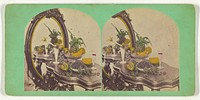 Still life of fruits on a table with mirror