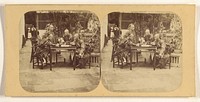 Canton. Mandarins playing a Game somewhat similar to Draughts, in the Garden of the Governor of Canton. by Pierre Joseph Rossier and Negretti and Zambra