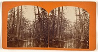 Cypress Gate on the Ocklawaha R.