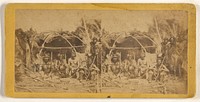 Group of American Indians posed at a hut by Benjamin Franklin Upton