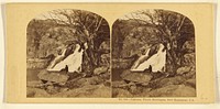 Cascade, White Mountains, New Hampshire, U.S. by London Stereoscopic and Photographic Company