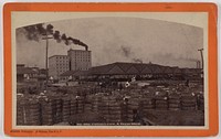 Cotton Levee, & Sugar Shed. by George Francois Mugnier