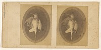 Mounted bird] (recto); [Mounted bird] (verso
