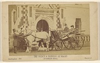 The Prince & Princess of Wales. (Afternoon Drive) by London Stereoscopic and Photographic Company