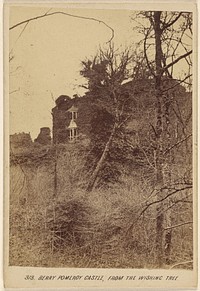 Berry Pomeroy Castle, From the Wishing Tree. by William Spreat