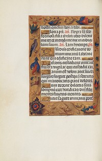 Decorated Text Page