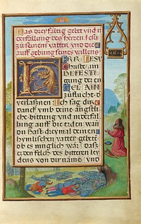 Border with David Pleading with God to End the Pestilence by Simon Bening
