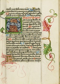 Decorated Initial A by Valentine Noh