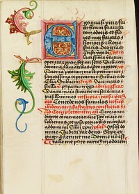 Decorated Initial E by Valentine Noh
