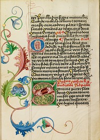 Decorated Initial S by Valentine Noh