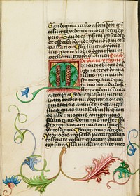 Decorated Initial M by Valentine Noh