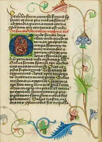 Decorated Initial G by Valentine Noh