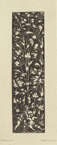 Design by Aldengrever by Édouard Baldus