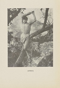 Attesa by Baron Wilhelm von Gloeden