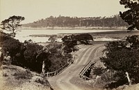 Coast view near Monterey by Carleton Watkins