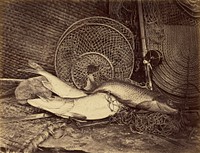 Still Life with Carp and Pike by Henry Bailey
