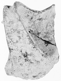 Handle Fragment from a Small Vessel