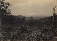 Mission Ridge Scene of Sherman's Attack by George N Barnard