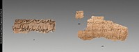 Group of Papyrus Fragments with Text (4)