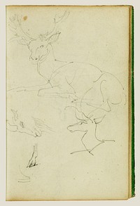 Studies of a seated stag, a fawn, a goat head by Théodore Géricault