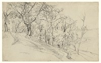 Forest in Boisrémond (recto); Cottage in a Forest (verso) by Théodore Rousseau
