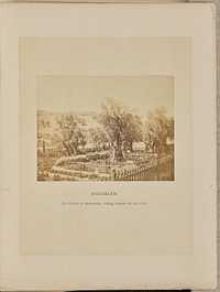 Jerusalem. The Garden of Gethsemane, Looking Towards the City Walls by Francis Bedford