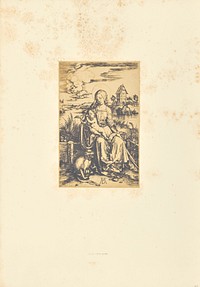 La Vierge au singe by Bisson Frères
