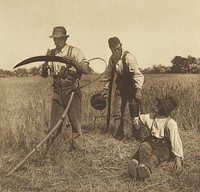 In the Barley-Harvest. [Suffolk.] by Peter Henry Emerson