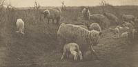 A March Pastoral. [Suffolk.] by Peter Henry Emerson