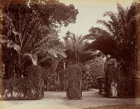 Entrance of Perdonuyo Gardens