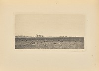 Marshes By the North Sea by Peter Henry Emerson