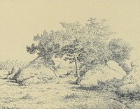 Le Cerisier de La Plante à Biau by Théodore Rousseau