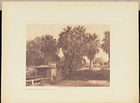 Modern Houses at Palm Springs - Cahuilla by Edward S Curtis