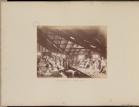Shearing and Sorting Wool by Charles Bayliss