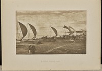 A Ceylon Fishing Fleet by Henry W Cave