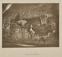 The Hackery by Henry W Cave