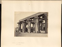 Columns of the Portico, Luxor by Francis Frith