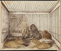 Portrait of a man with lions