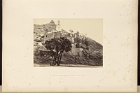 Doum Palm and Ruined Mosque, Near Philae by Francis Frith