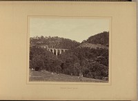 Knapsack Valley. Viaduct by New South Wales Government Printing Office