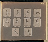 Long Jump by Eadweard J Muybridge