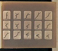 Standing Jumps by Eadweard J Muybridge