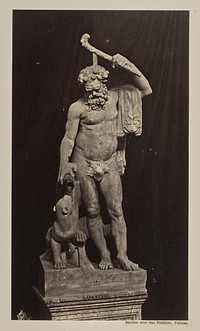 Bacchus avec une Panthère. Vatican by James Anderson