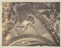 Fresco of Putto with attributes of Neptune by Raphael and his workshop in Villa Farnesina